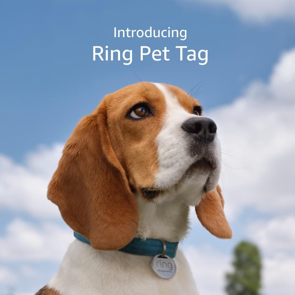 imageRing Pet Tag  Easytouse tag with QR code  Realtime scan alerts  Shareable Pet Profile  No subscription or fees2 Pet Tags