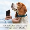Ring Pet Tag | Easy-to-use tag with QR code | Real-time scan alerts | Shareable Pet Profile | No subscription or fees(1 Pet Tag)