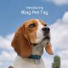Ring Pet Tag | Easy-to-use tag with QR code | Real-time scan alerts | Shareable Pet Profile | No subscription or fees(2 Pet Tags)