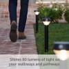 Ring Solar Pathlight — Motion-activated pathlight, bright LEDs, works with Amazon Sidewalk, Black(Solar Pathlight)