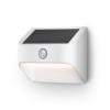 Ring Solar Steplight — Motion-activated steplight, bright LEDs, works with Amazon Sidewalk, Black(White)
