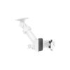 Ring Pole Mount for Cameras and Solar Panels – White