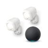 Ring Smart Lighting – Spotlight, Battery-Powered, Outdoor Motion-Sensor Security Light, White (2-pack) + Echo (4th Gen)